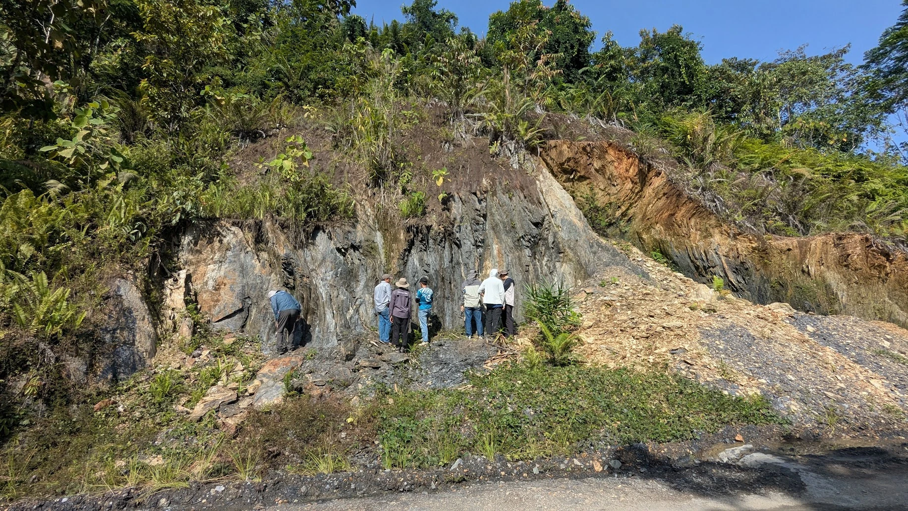 Documentation of North Borneo 2026 - Photo 4